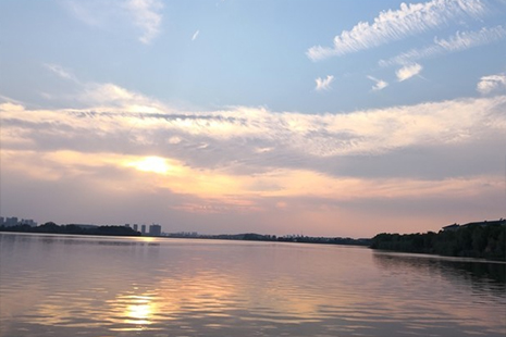 武漢溼地公園在哪地址門票交通指南