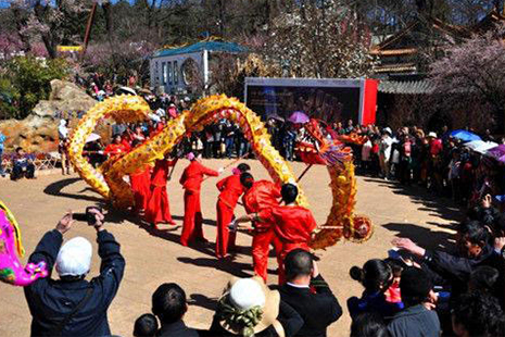 1548929900242596.jpg 33.jpg