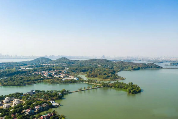 1553585887578764.jpg 2.jpg