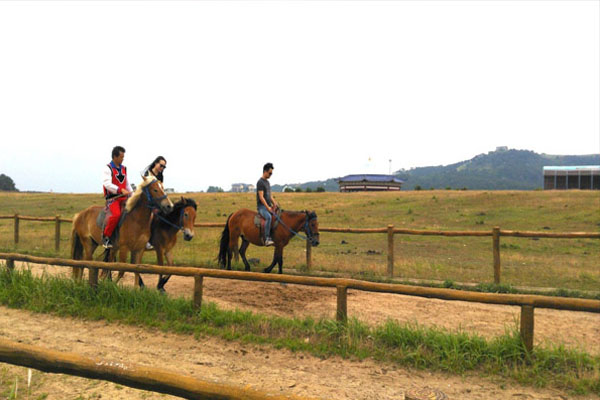 1554798504980671.jpg 3.jpg