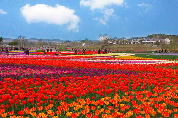 黃陂木蘭花鄉門票價格 景區電話 在哪裡2019 - 景點推薦 - 旅遊攻略