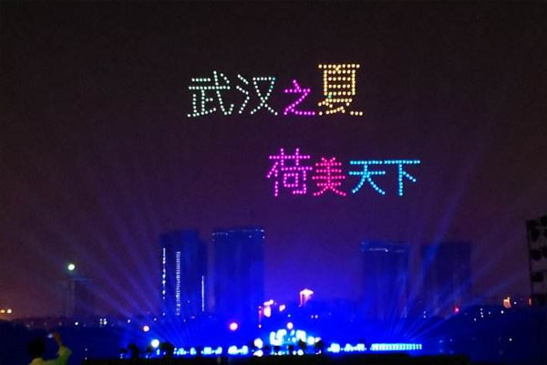 武汉荷花节2019时间地点 武汉荷花节在什么地方