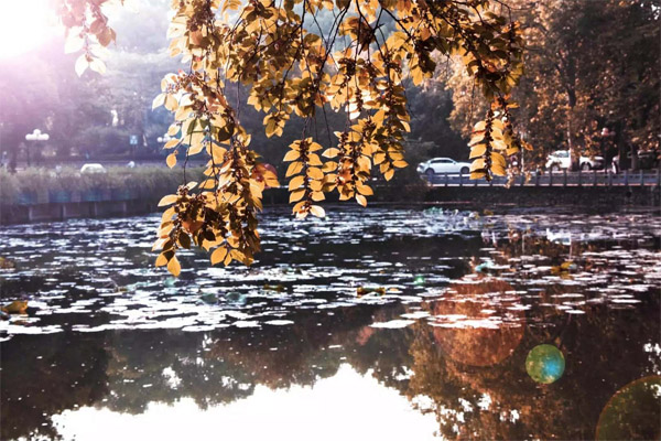 武汉高校最美5个人工湖