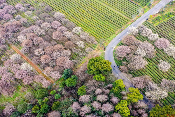 1565058675365167.jpg mmexport1565058489416.jpg