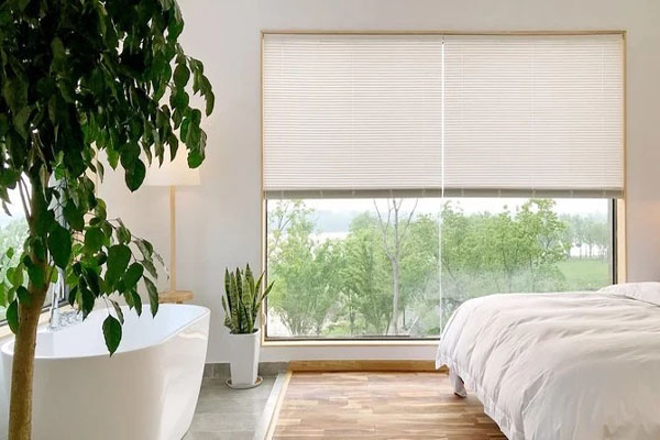 1565061835142458.jpg mmexport1565061653357.jpg