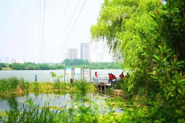 后官湖国家湿地公园怎么样（门票+交通路线）