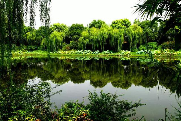 1565679527454954.jpg 公园.jpg