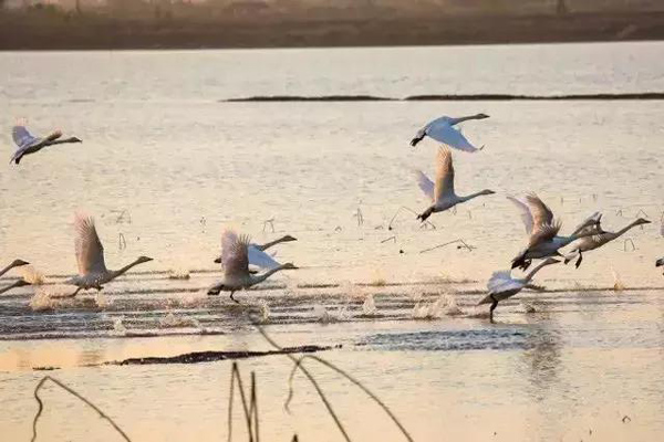 1565679546821897.jpg 公园3.jpg