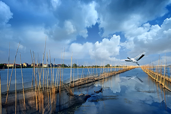 武汉哪些地方适合自助式烧烤 武汉野炊景点推荐