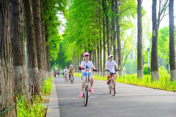 東湖綠道怎么玩比較好玩？武漢市東湖綠道騎行線路推薦(圖2)