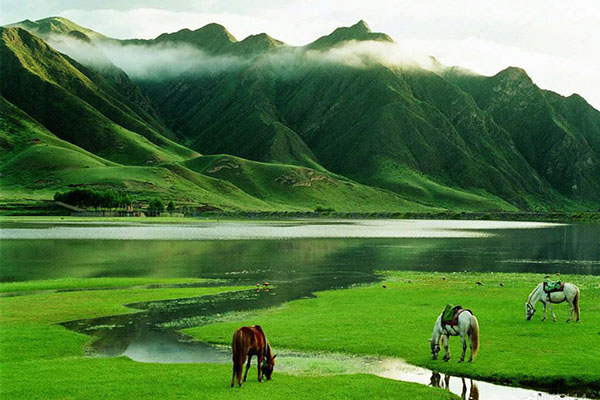 武汉木兰草原有什么好玩的(门票+交通+开放时间)