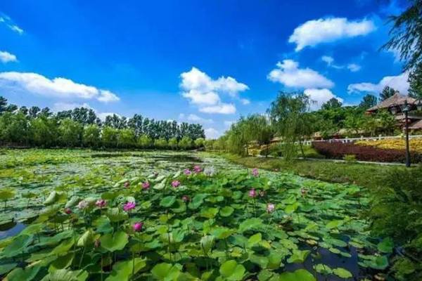 武汉蔡甸区有哪些好玩的景点（景点地址）