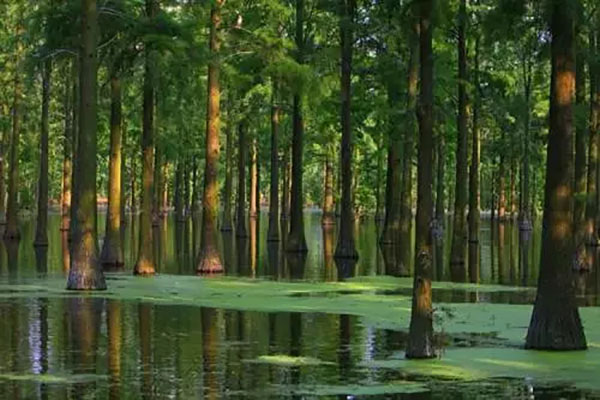 武汉有哪些交通方便的景点 武汉景点推荐