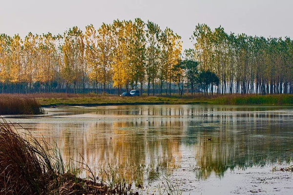 武汉后官湖湿地公园要门票吗（音乐喷泉时间+交通路线）