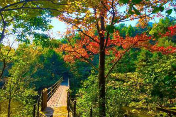 武汉木兰天池旅游攻略（门票+路线）