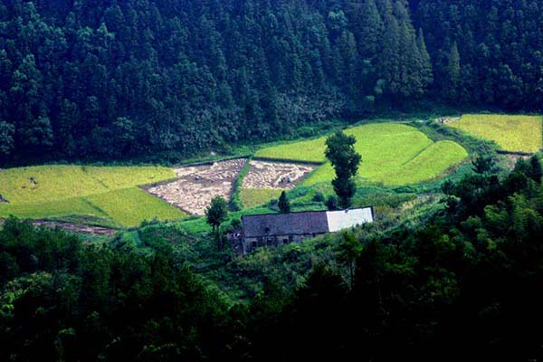 阳新七峰山有哪些景点值得一看 阳新七峰山景点介绍