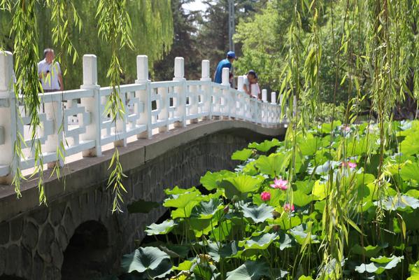 武汉张毕湖公园在哪里 张毕湖公园规划