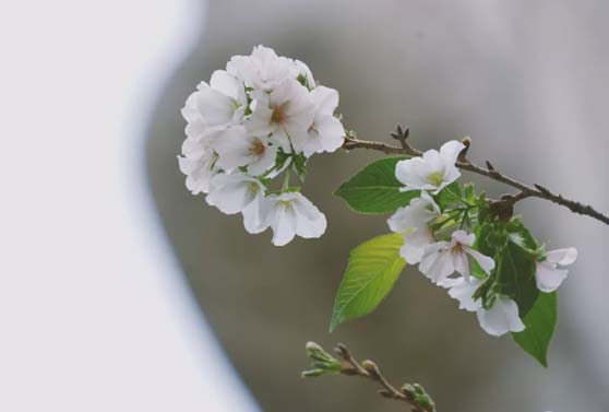 1570852370100597.jpg 3.jpg