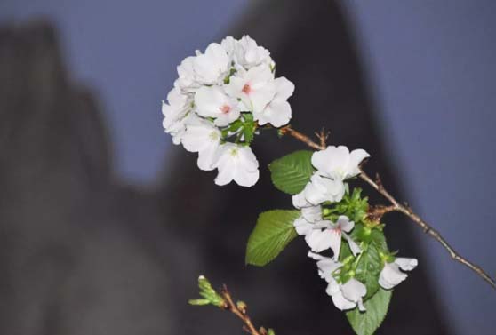 1570852385463905.jpg 1.jpg