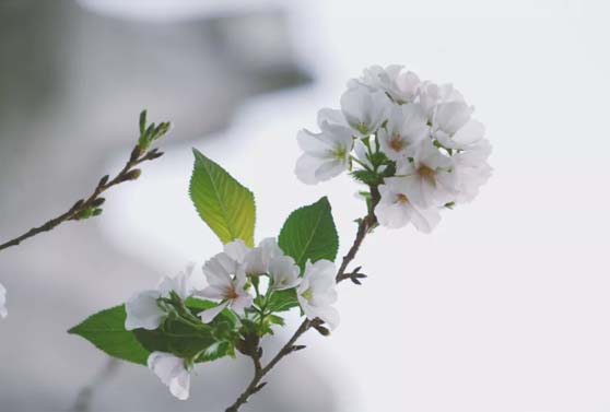 1570852392977182.jpg 4.jpg