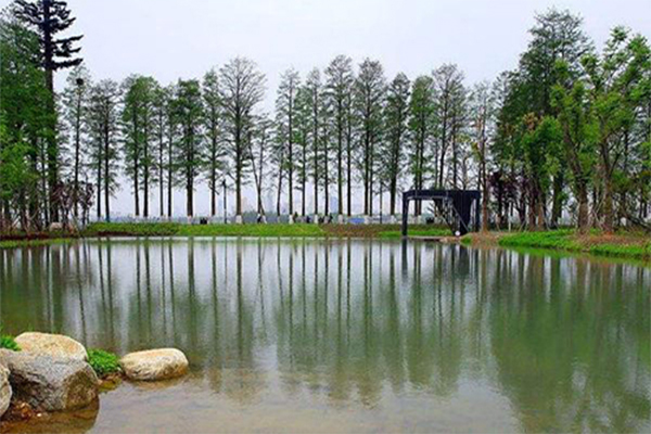 1571207914518917.jpg 6.jpg