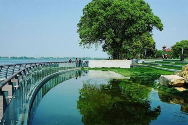 1571207920159805.jpg 7.jpg