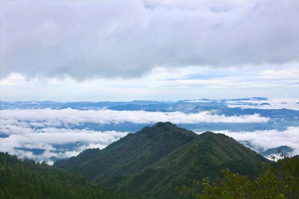 这段时间咸宁·九宫山风景区将会免费