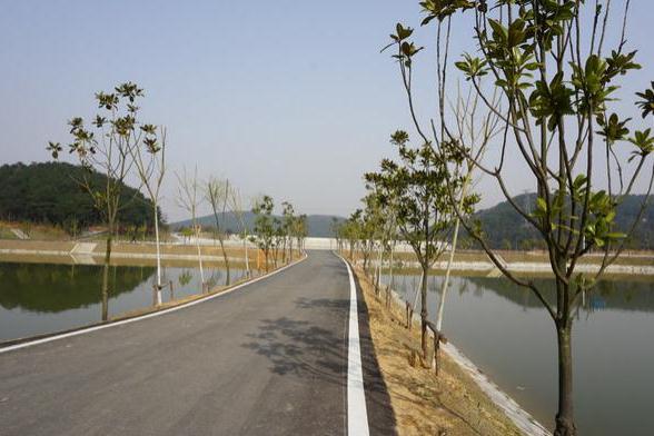 武汉有哪些绿道(江夏环山绿道 张公堤绿道)