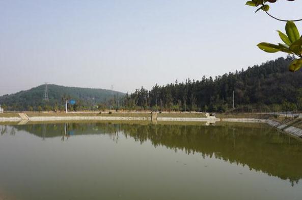 1571649468578544.jpg 2.jpg