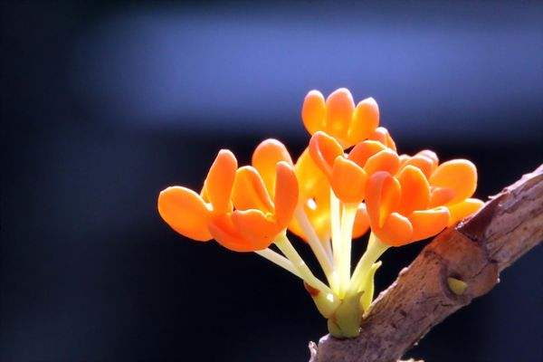 1573810909655998.jpg 91.jpg