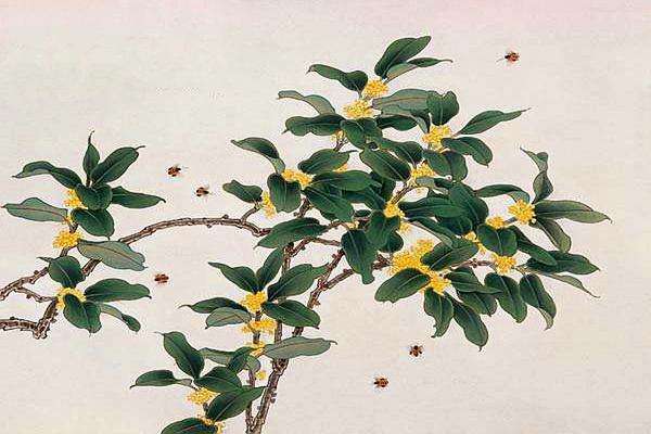 1573810930829424.jpg 93.jpg