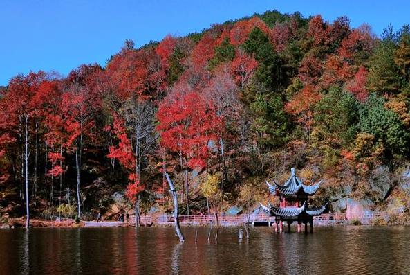 武汉市工会会员旅游年卡A卡范围+景区列表