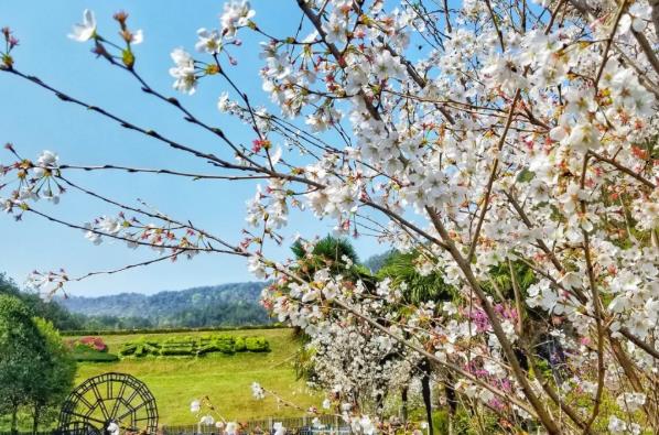 黃陂木蘭天池及云霧山開放了嗎開放時間