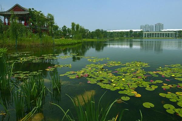 1586946730958961.jpg 9.jpg