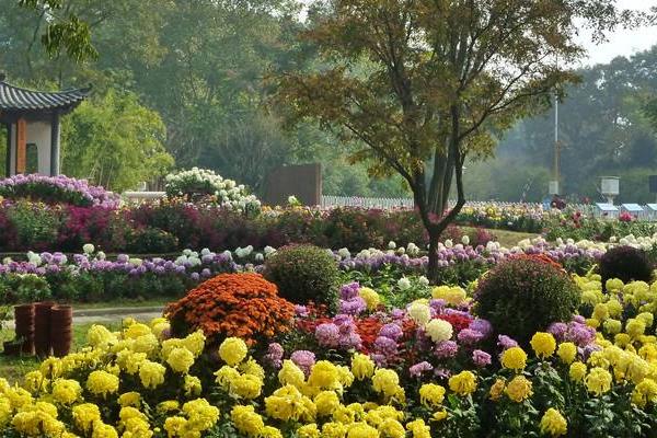 1586946765498474.jpg 10.jpg