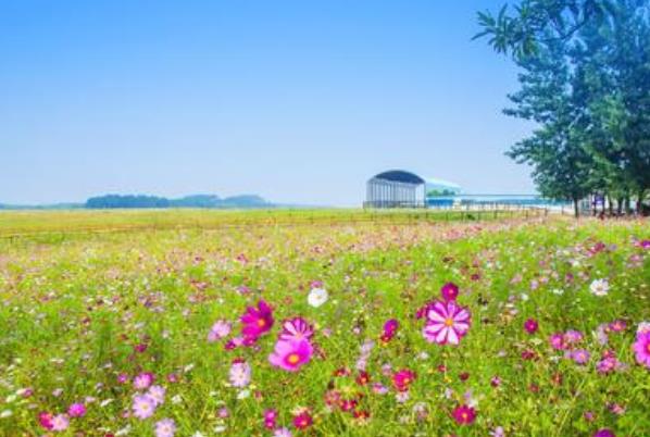 武汉到木兰草原怎么去_有直达车吗 附时刻表