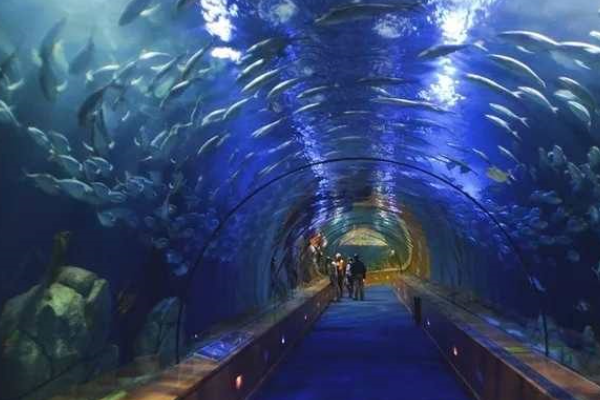 武汉海昌极地海洋公园什么时候对外开放2020