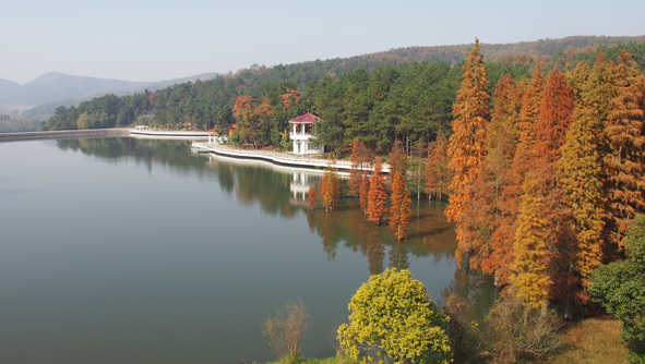 1591265532180989.png 微信截图_20200421115316.png