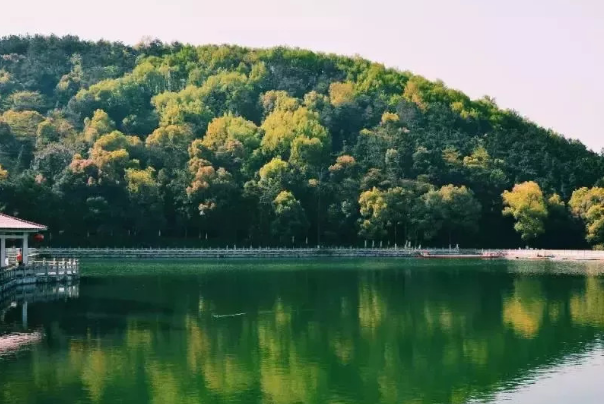 1591266050941814.png 微信截图_20200421115316.png