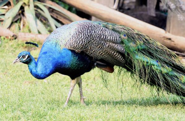 1591667358945500.jpg 1.jpg