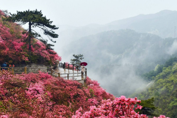 湖北省文旅卡包括哪些景点2020