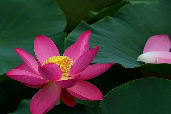 1593738442511682.jpg 2.jpg