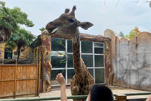 1594288447738056.jpg Image 66.jpg