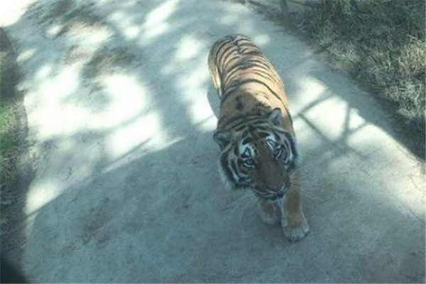 1594980277947676.jpg Image 86.jpg