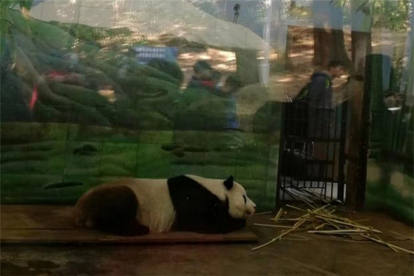 1594980288455616.jpg Image 87.jpg