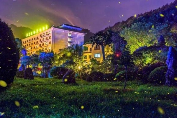 1595579890940829.jpg 005.jpg