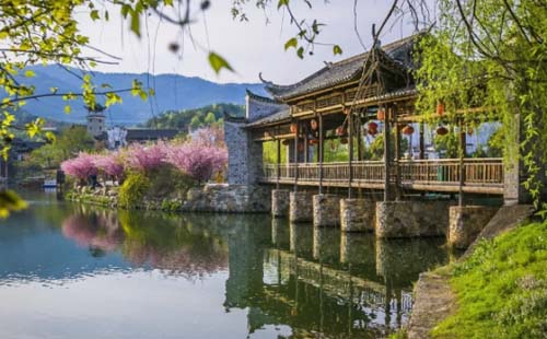 2020年武汉东湖游船新线路（电话+营业时间+登船码头）