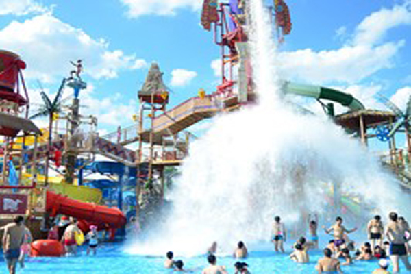 1598004235270309.jpg 9.jpg