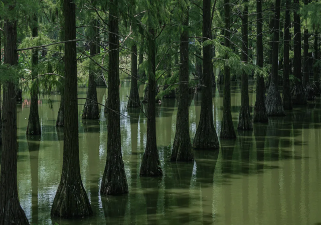 1598258561864420.png 1598258561864420.png