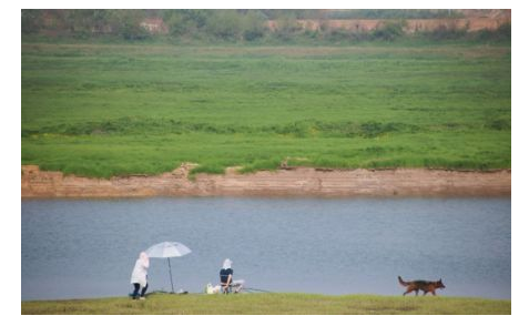 1598258591348575.png 微信截图_20200727111347.png